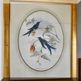 A40. Framed bird print.